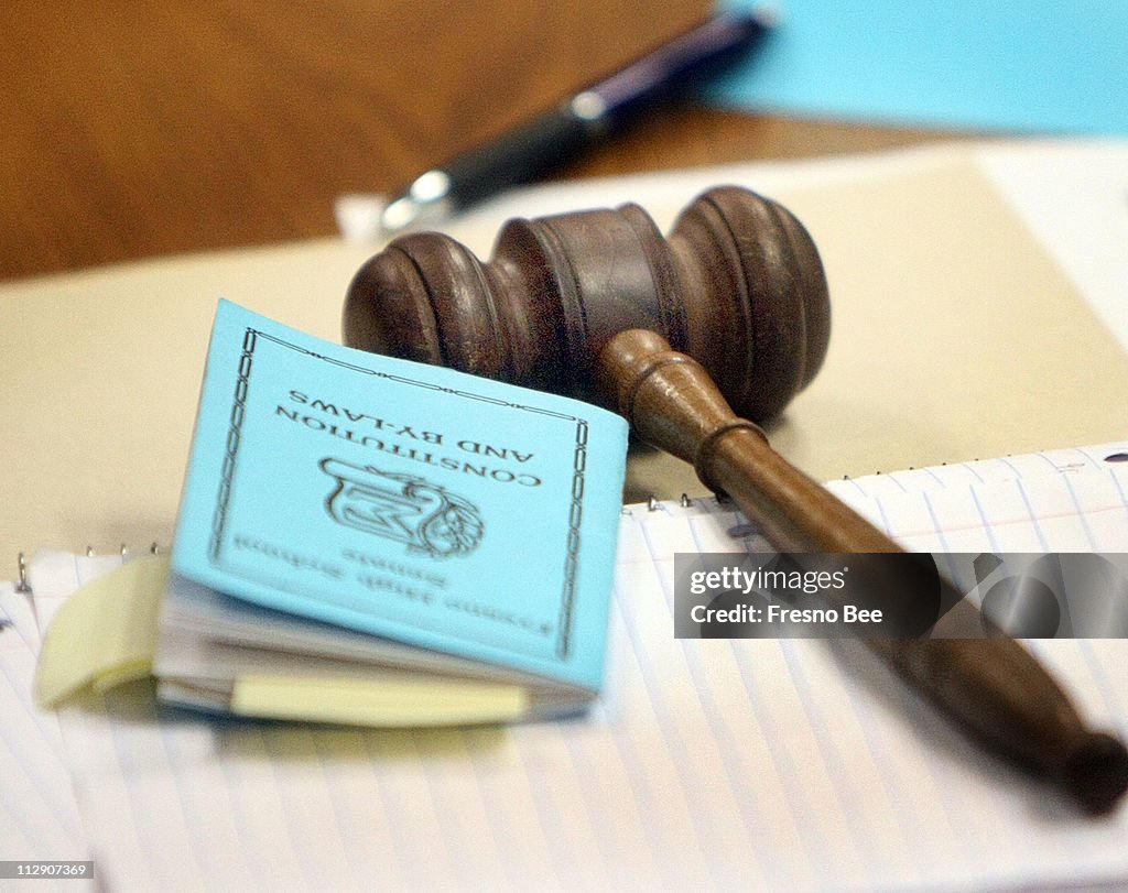 Constitution and By-Laws Now Available for Review